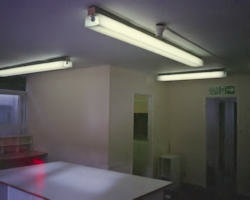 Internal 11