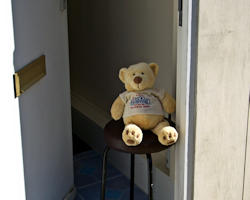 Patience Bear
